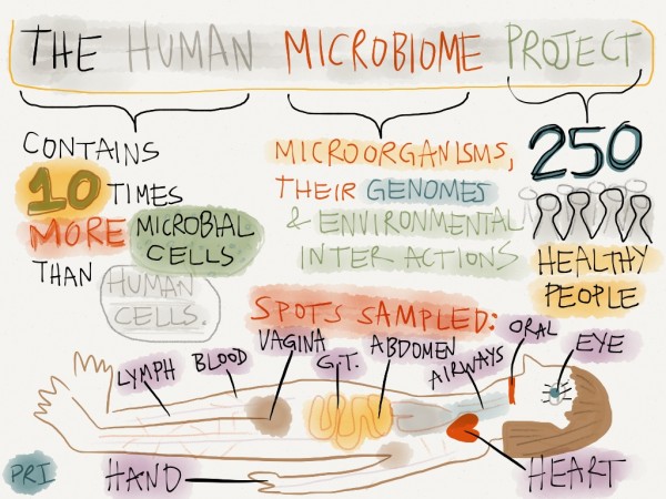microbiome 1